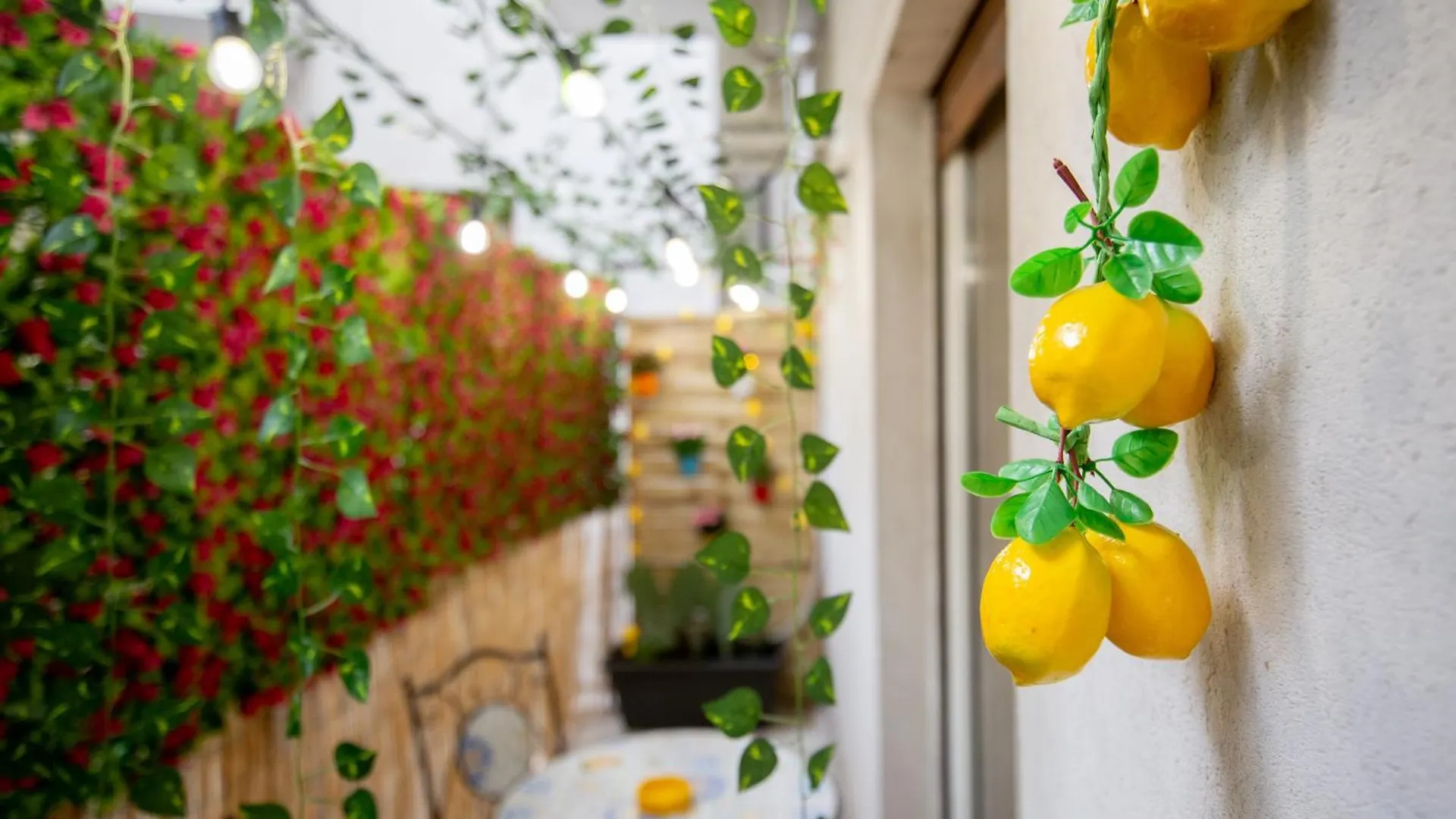 Affittacamere Terra D'Agrumi Rooms Catania